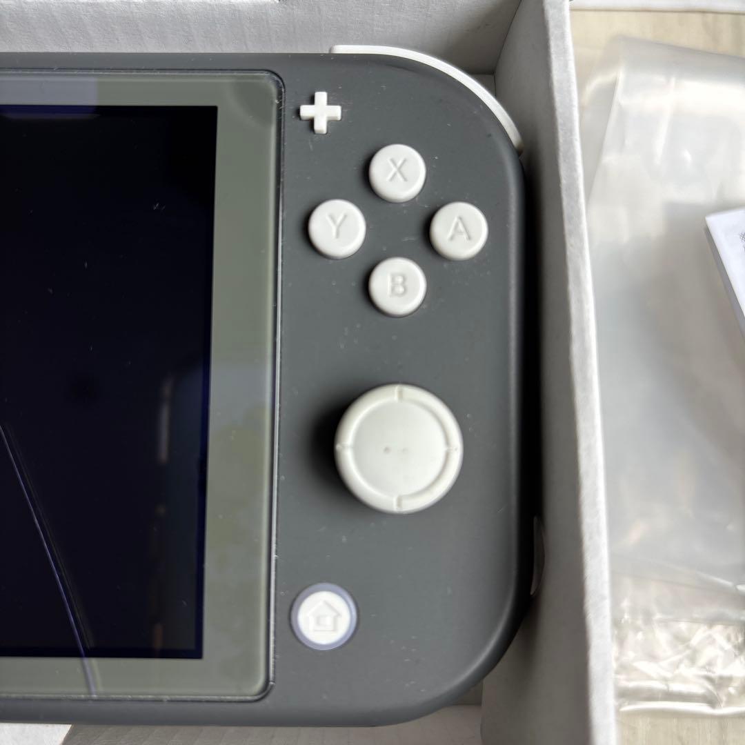 Switchライト　本体　ジャンク　グレー