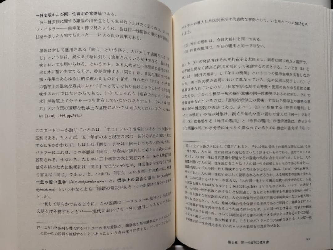 同一性と個体　種別概念に基づく統一理論に向けて