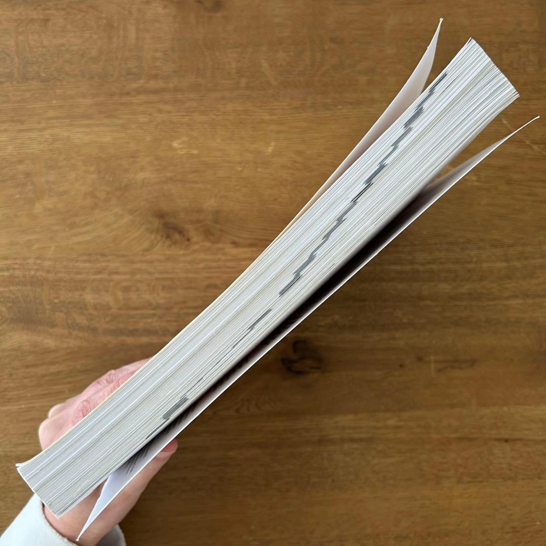 ビジネス・経済 A Guide to the Project Management