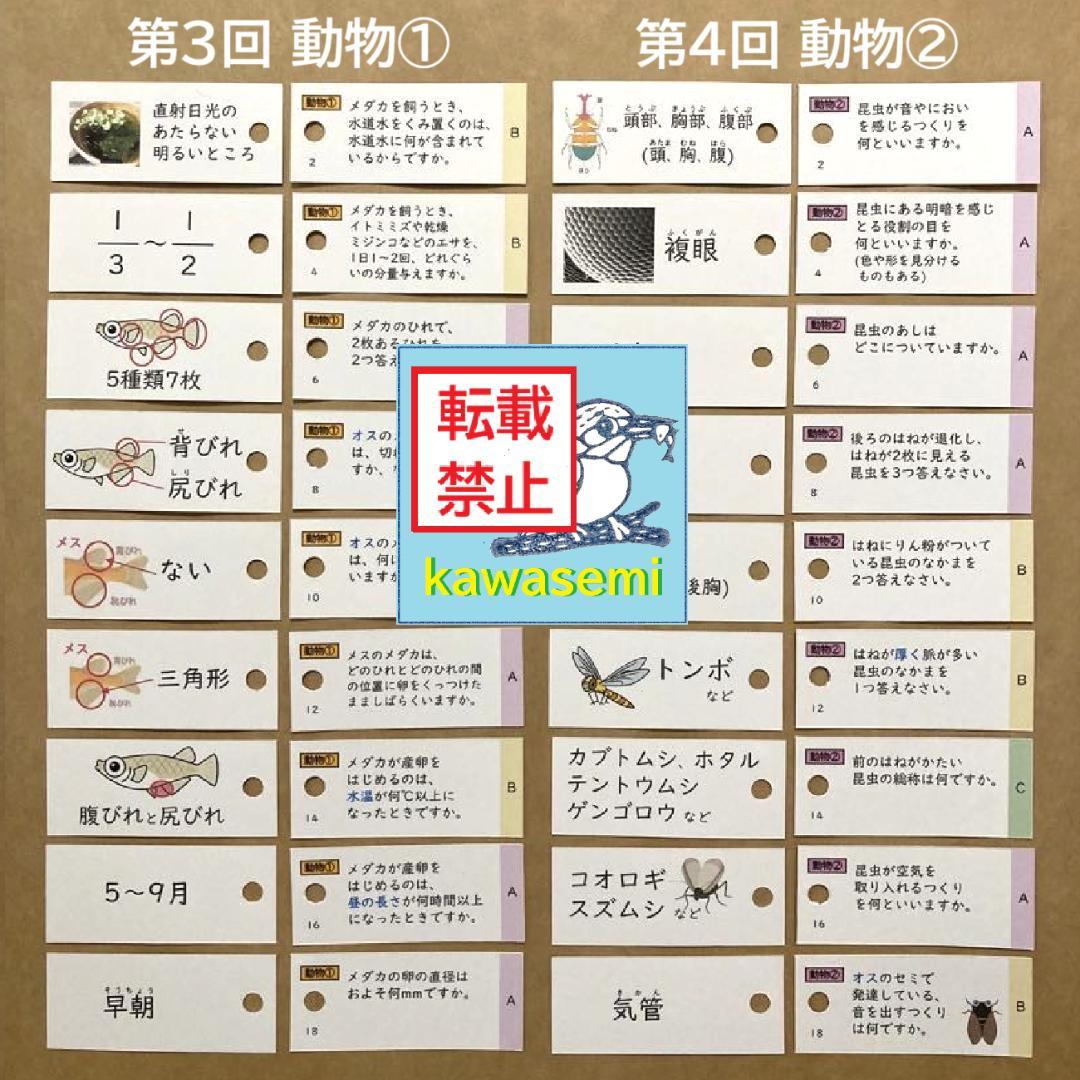 【take1115】カット済 理科の基本事項 知識編 暗記カードフルセット