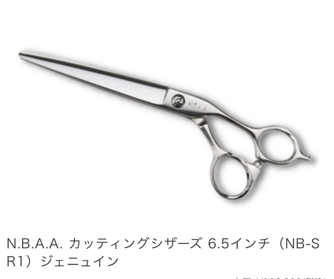 N.B.A.A. カッティングシザーズ 6.5インチ（NB-SR1）