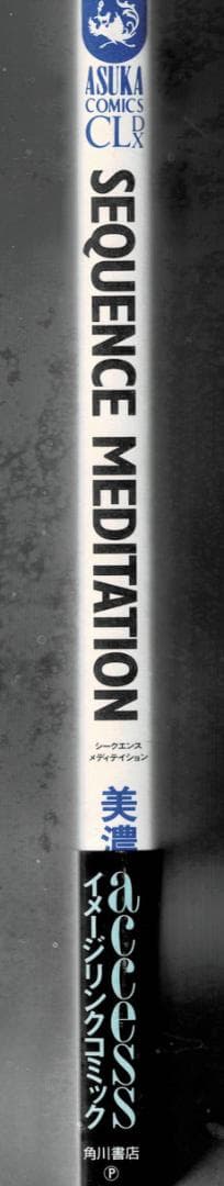■帯付「SEQUENCE MEDITATION」access・浅倉大介・貴水博之
