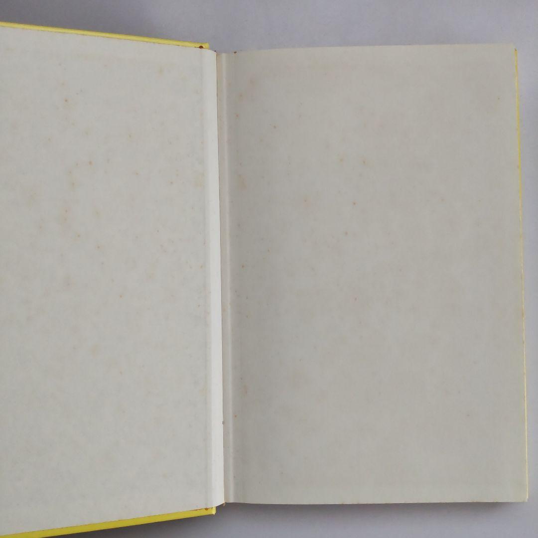 洋書 Electromagnetic Signals Reflection