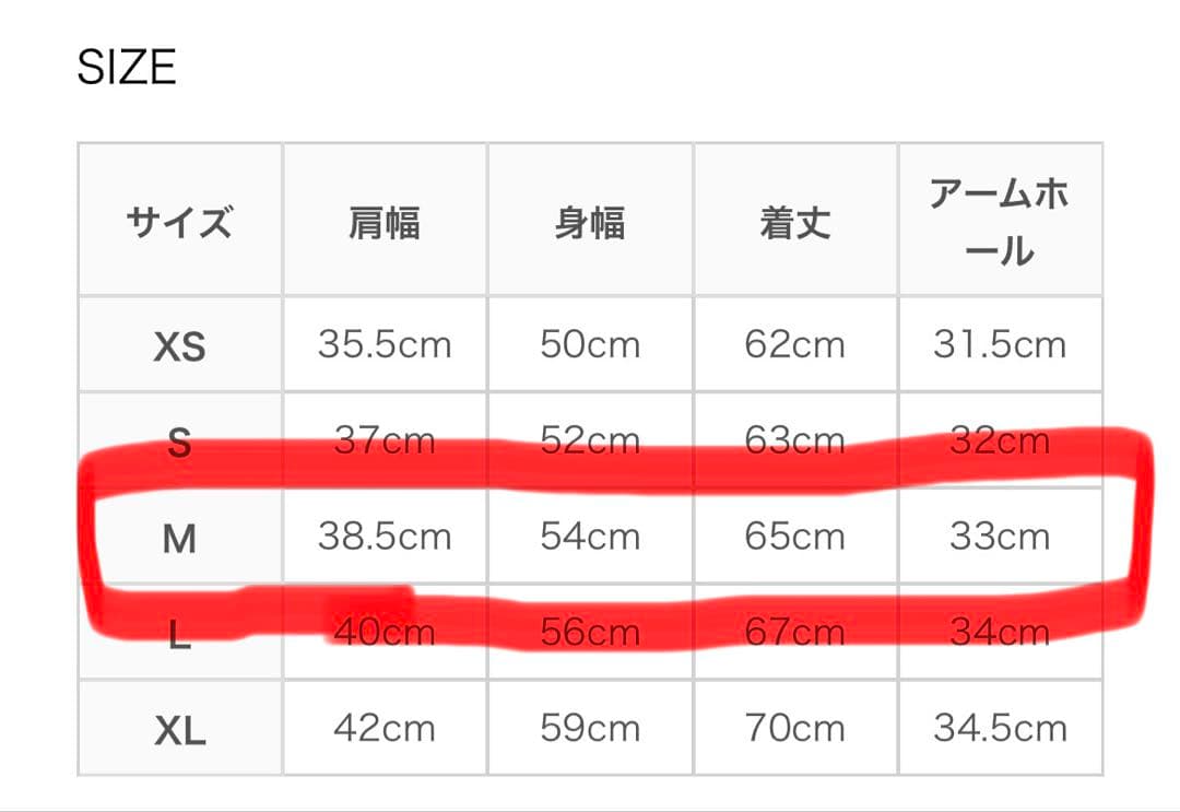 【期間限定お値下げ！！！】ノースフェイス　ベスト