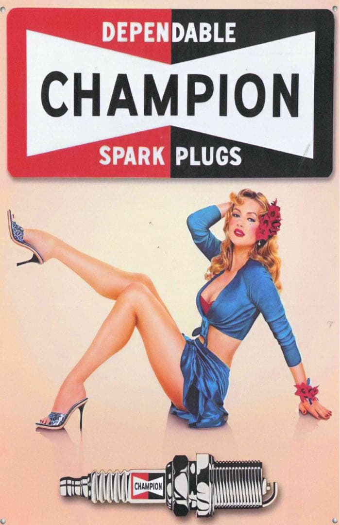 【ビンテージ】トラッカーキャップ　70'sCHAMPION アメカジ　tsy