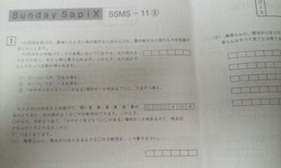 サピックス・難関校ＳＳ特訓＊６年＊算数／武蔵 対策プリント 全２４回完全版＊貴重