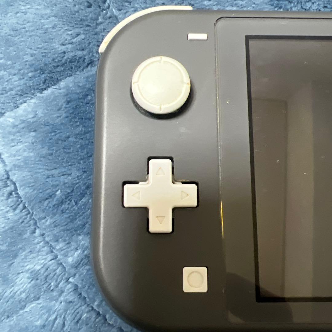 Nintendo Switch Liteジャンク品　充電器付き