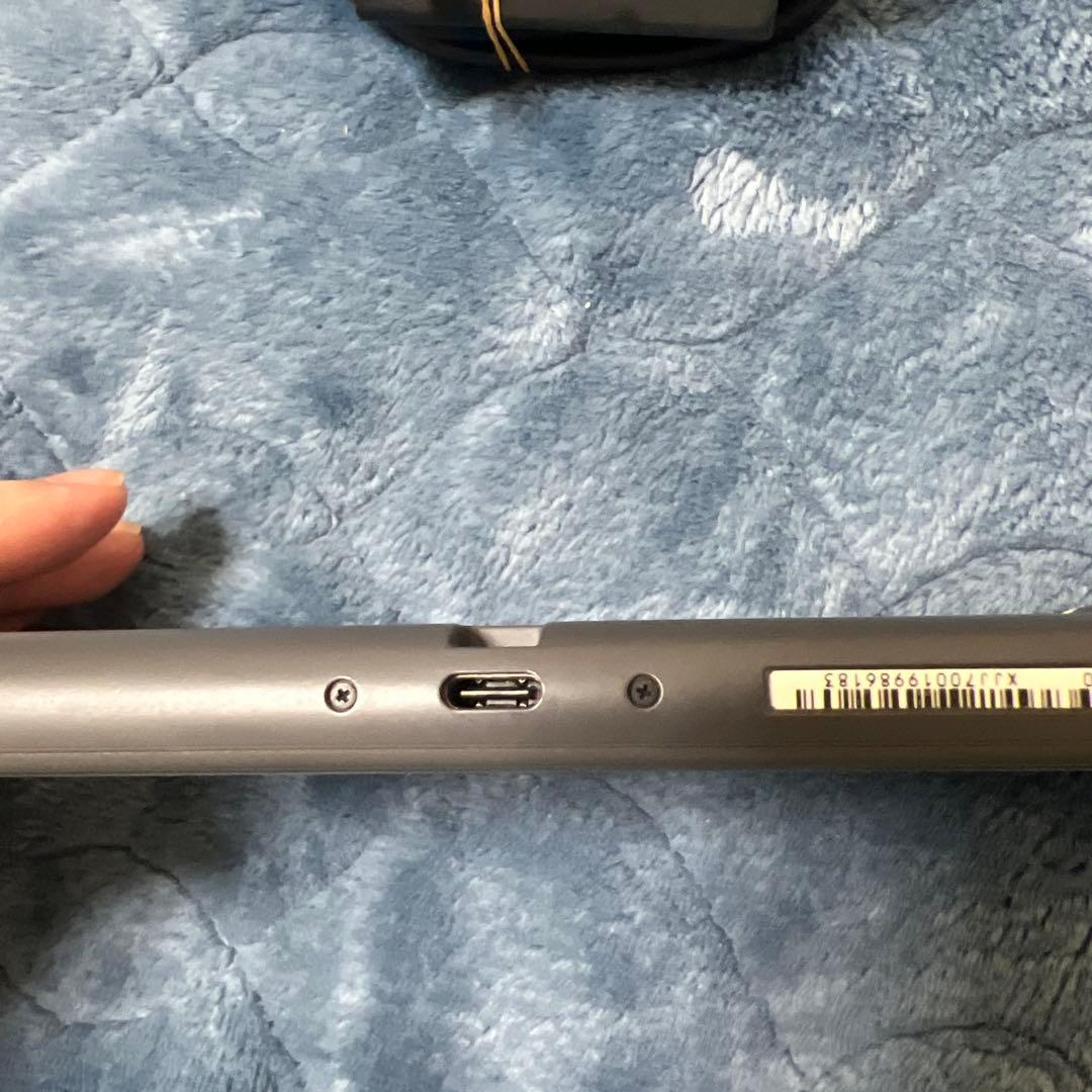 Nintendo Switch Liteジャンク品　充電器付き