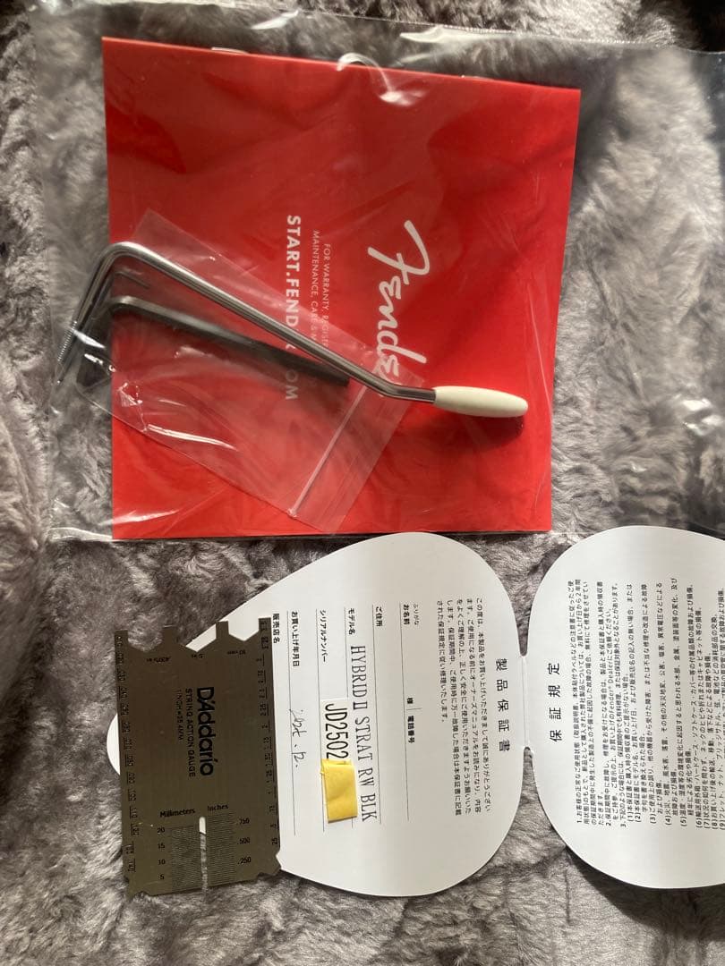 Fender Hybrid II ストラトキャスター RW 2025年末購入品