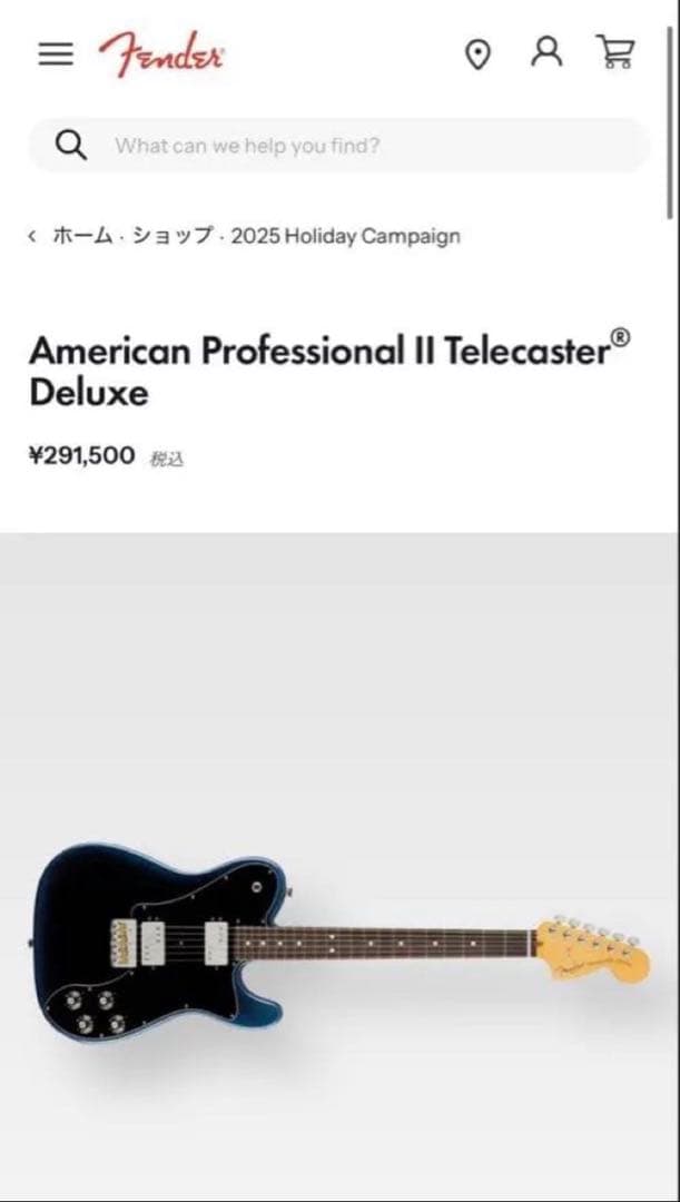 FenderAmerican Professional Ⅱ Telecaster