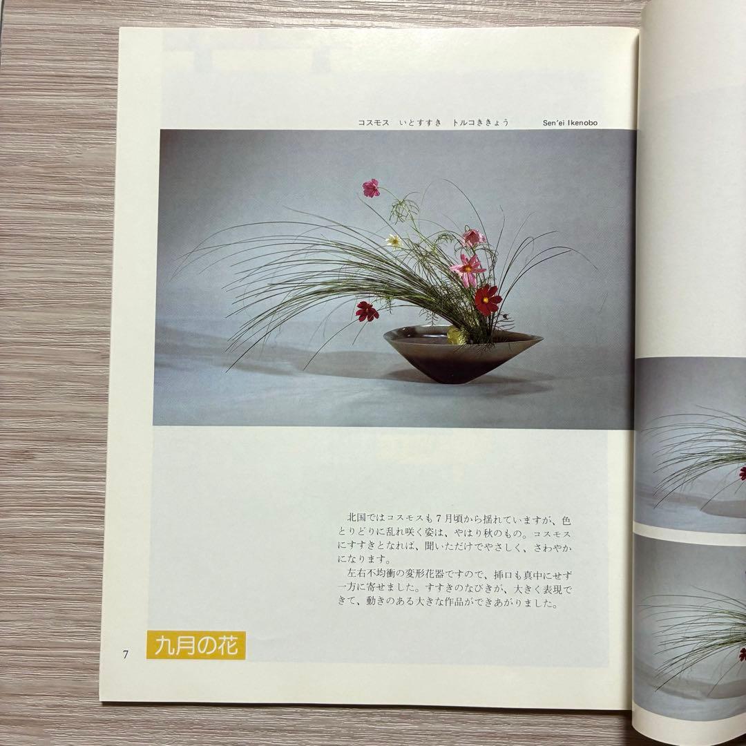 ざ・いけのぼう 1984年09月号 no.165 昭和59年 池坊 雑誌 希少
