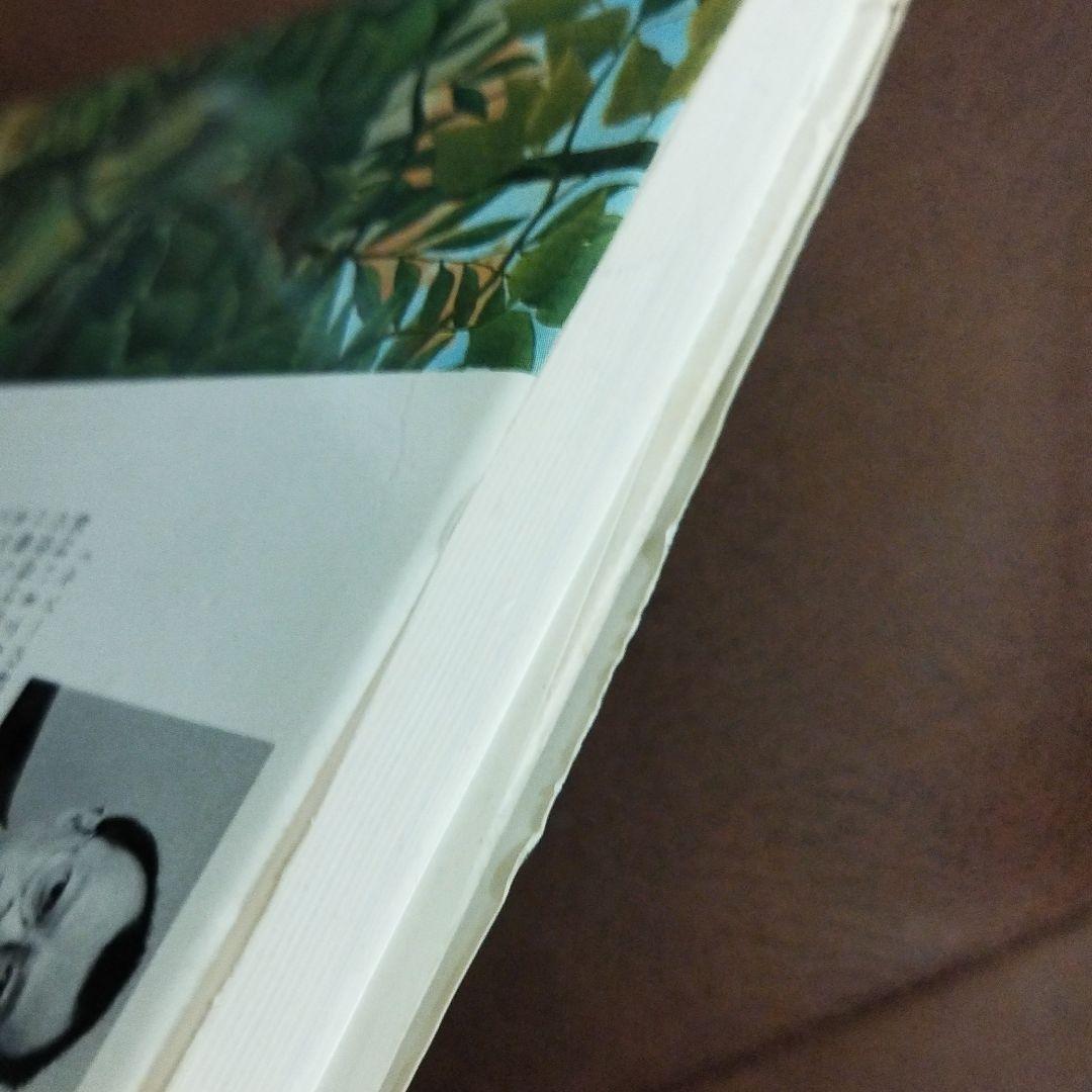 アンリ・ルソー　山﨑貴夫　みすず書房