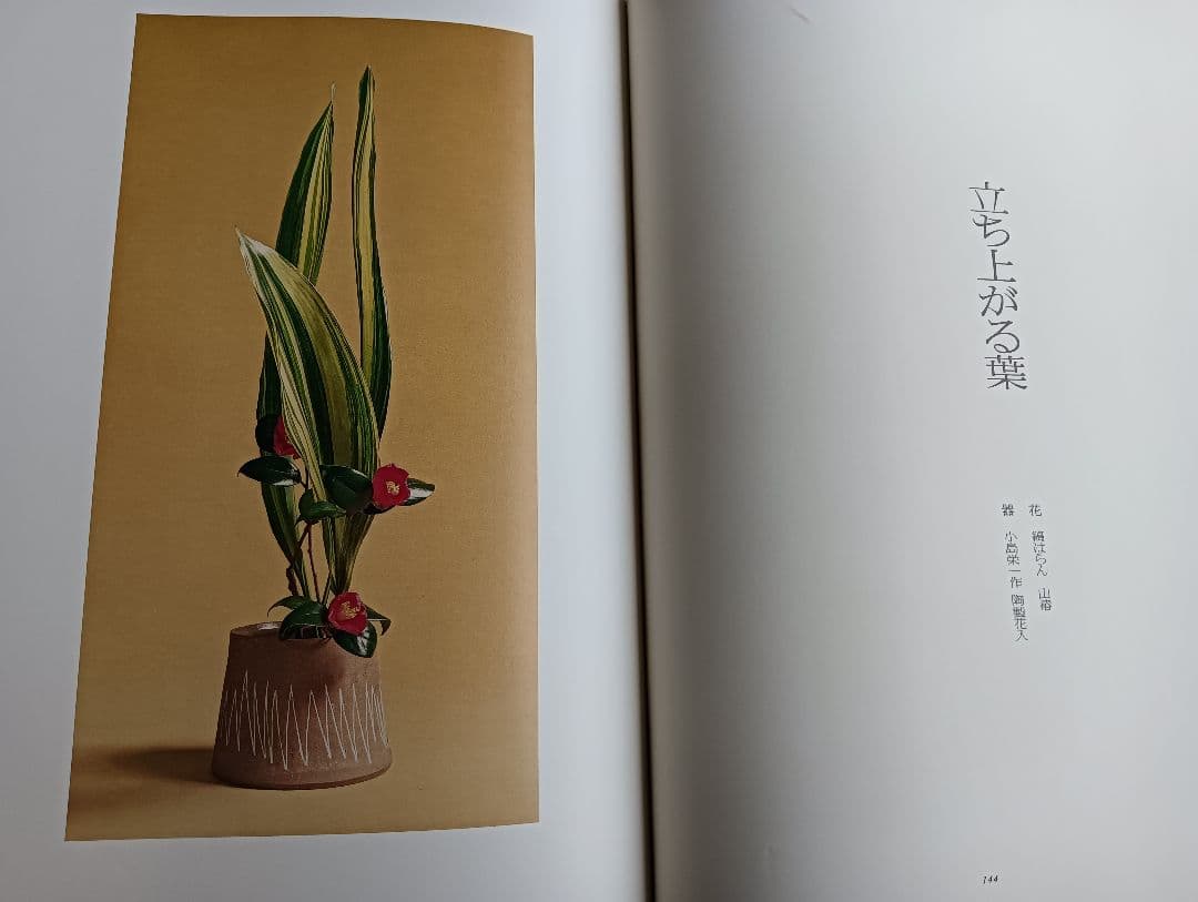 華泉の花