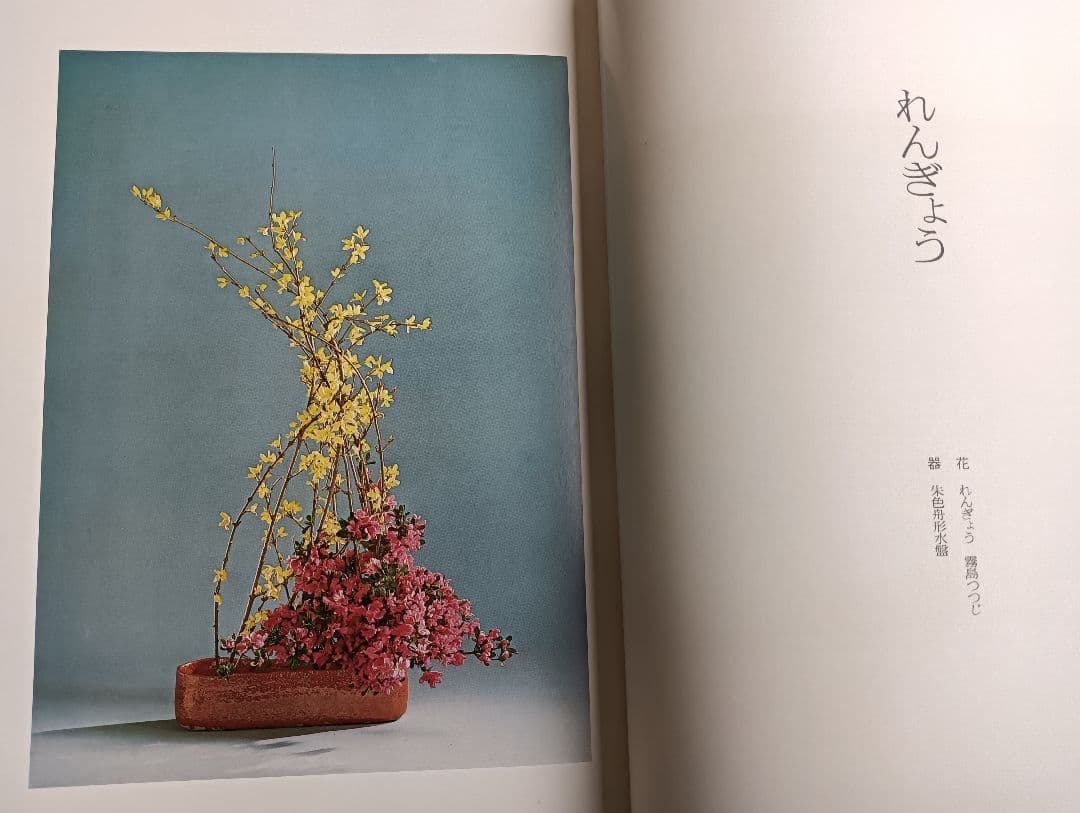 華泉の花