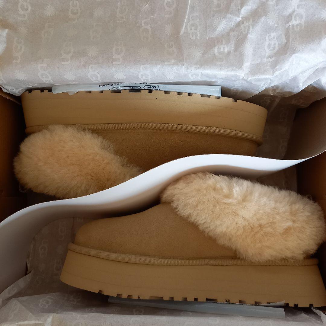 残り1点☆新品 UGG Tazzelle タゼル 24cm マスタード シード
