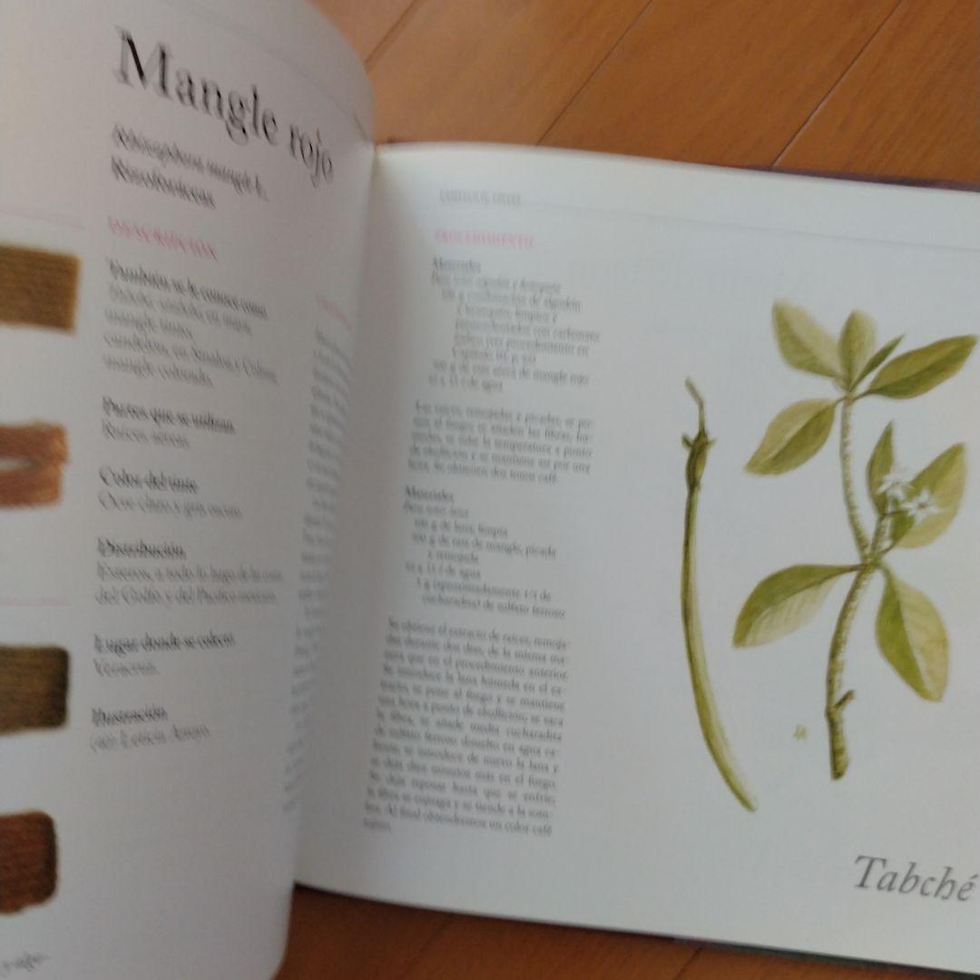 アート・デザイン・音楽 Tintes Naturales Mexicanos