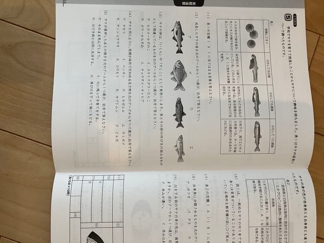 【ほぼ未使用状態】サピックス6年理科　SS特訓　知識論理力講座　全14回
