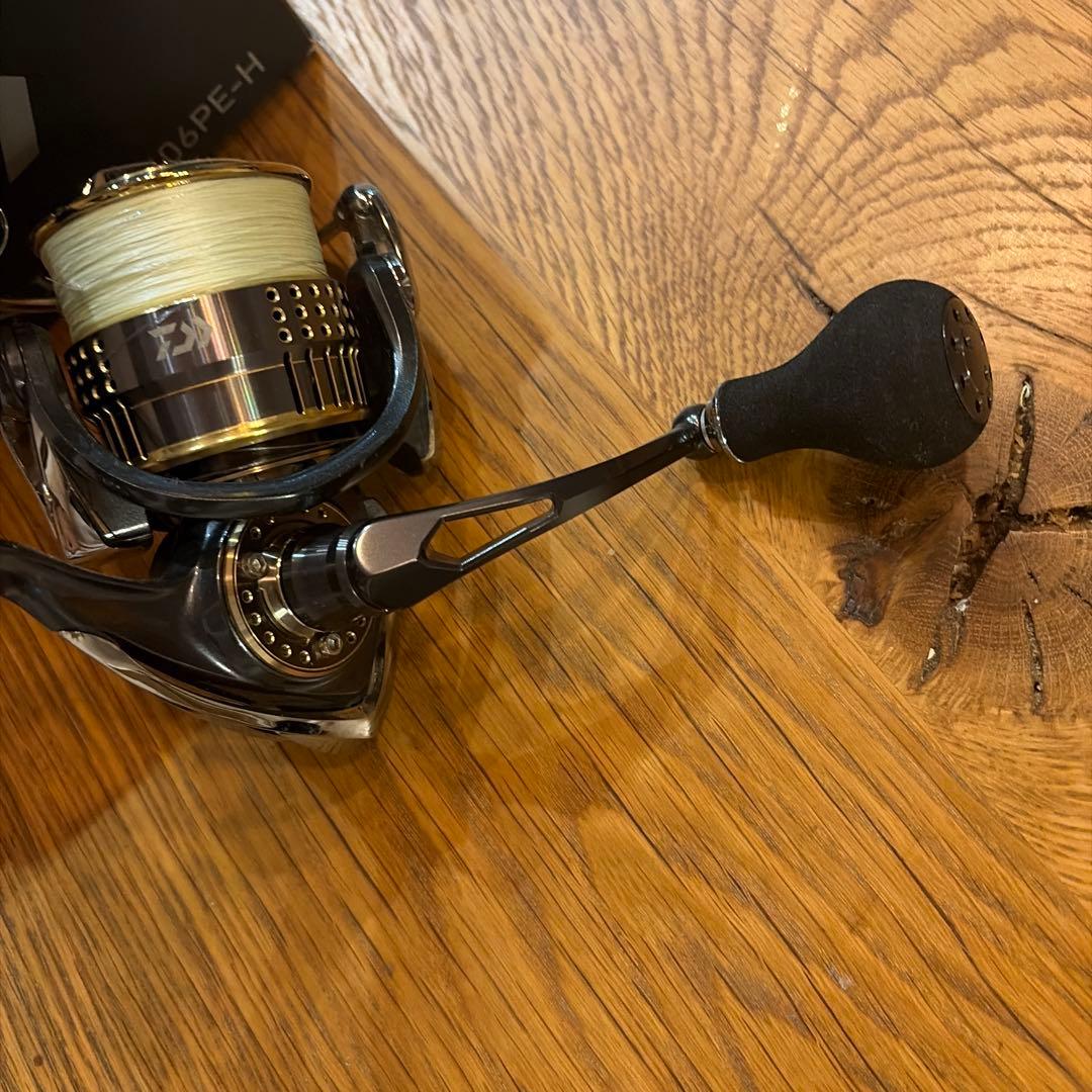 Daiwa15イグジスト2506PE-H