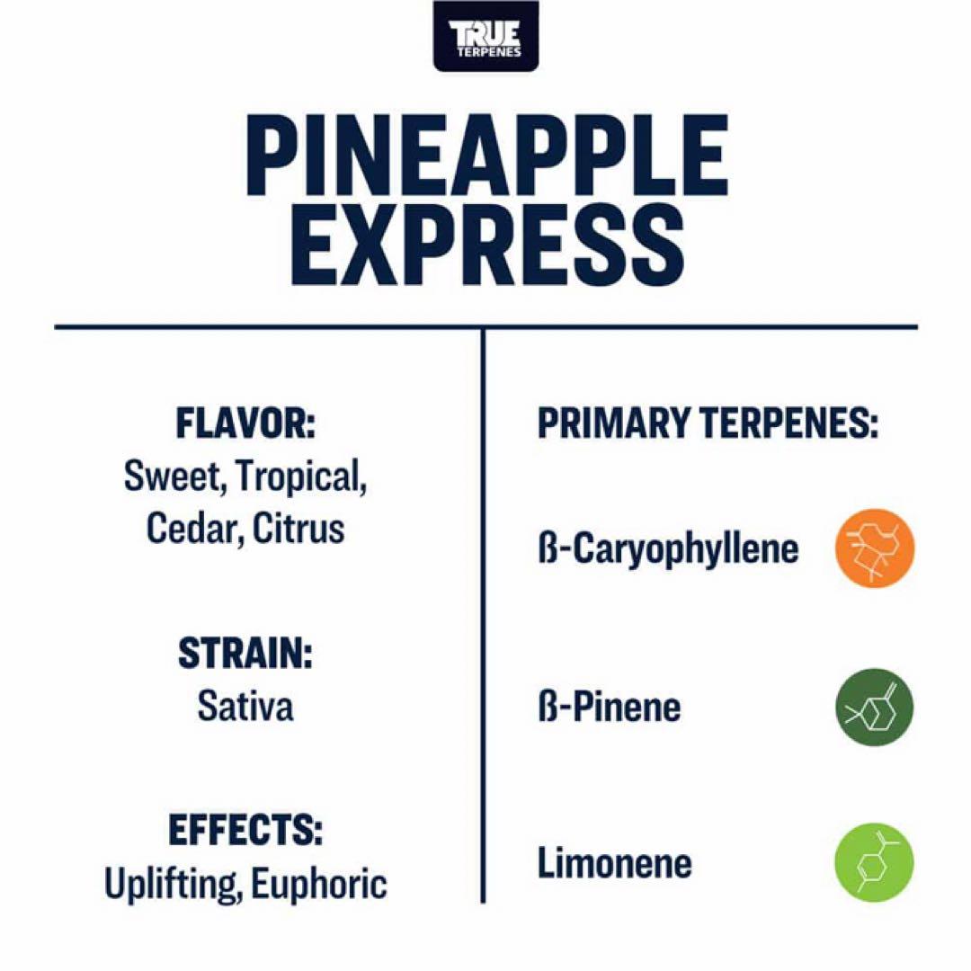【10ml】Pineapple Express／TrueTerpenesテルペン