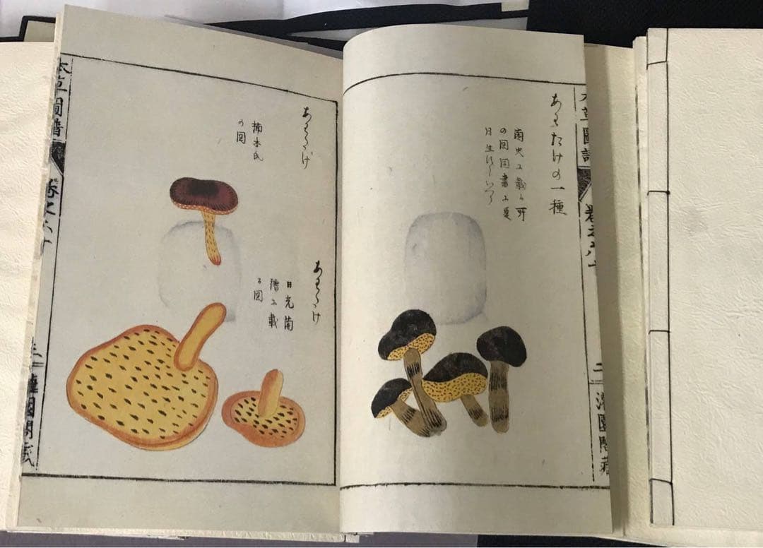 復刻版　本草図譜