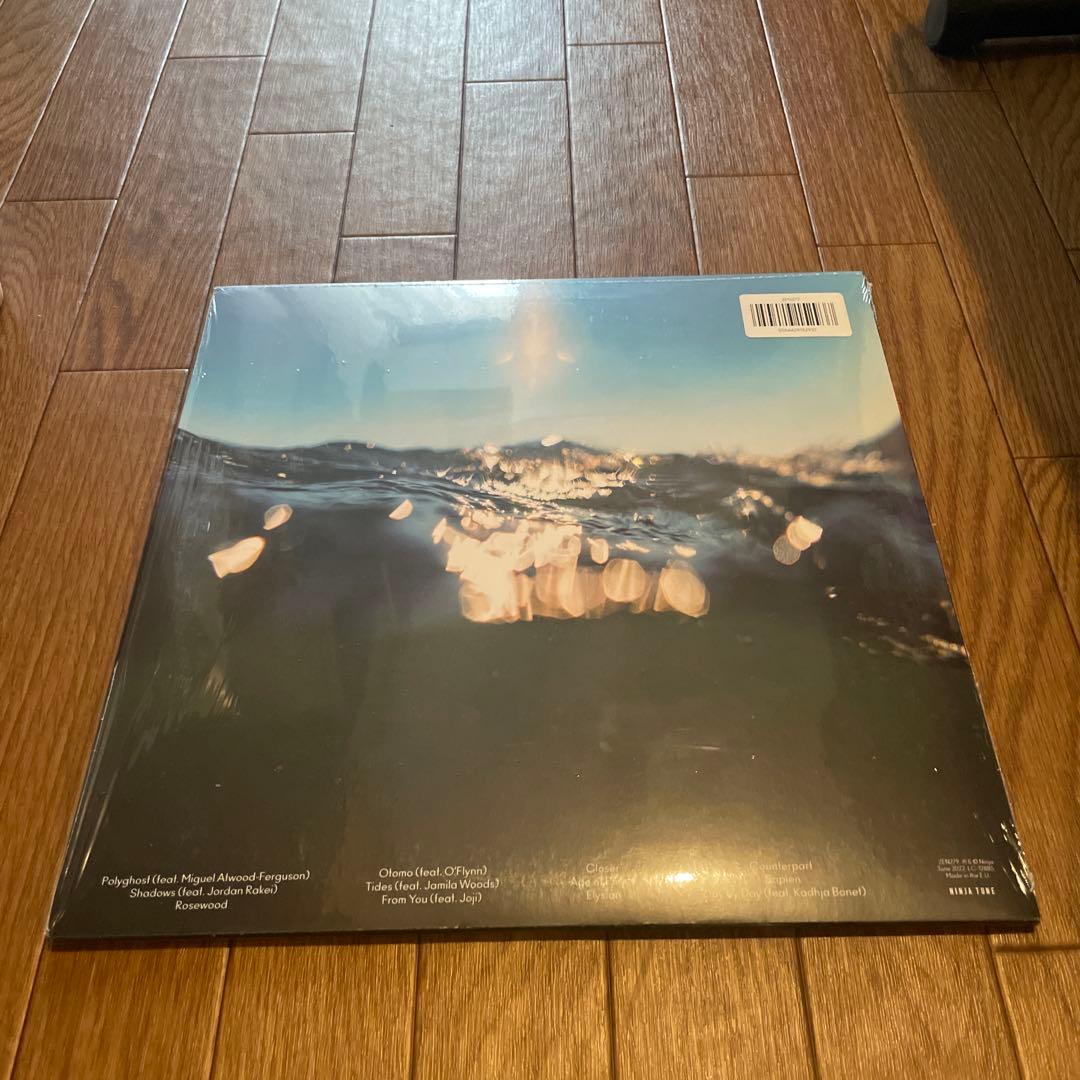 Bonobo - Fragments アナログレコード LP vinyl ボノボ