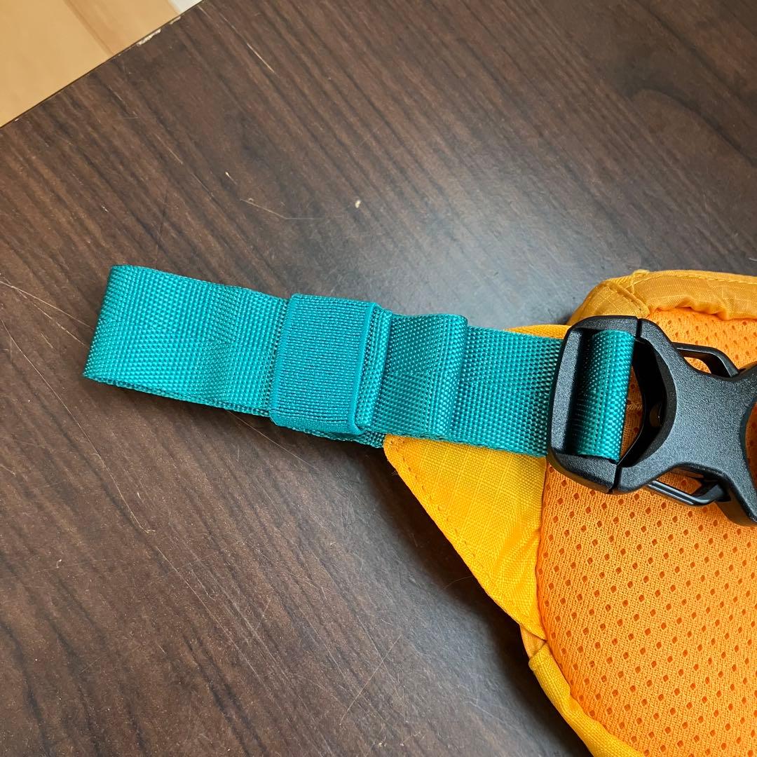 patagonia パタゴニア　ウエストポーチ　ショルダーバッグ　オレンジ　美品