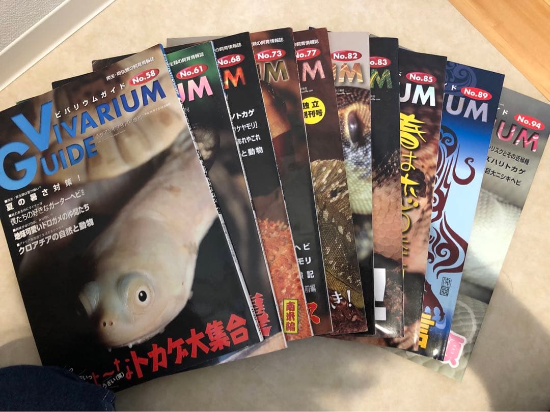 ビバリウムガイド　バラ売り要相談‼︎