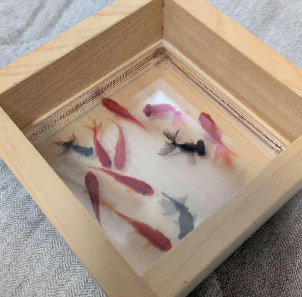 金魚アート　樹脂金魚作品