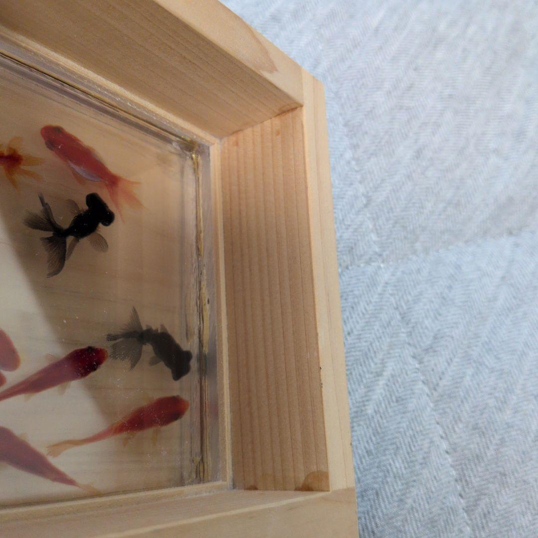 金魚アート　樹脂金魚作品