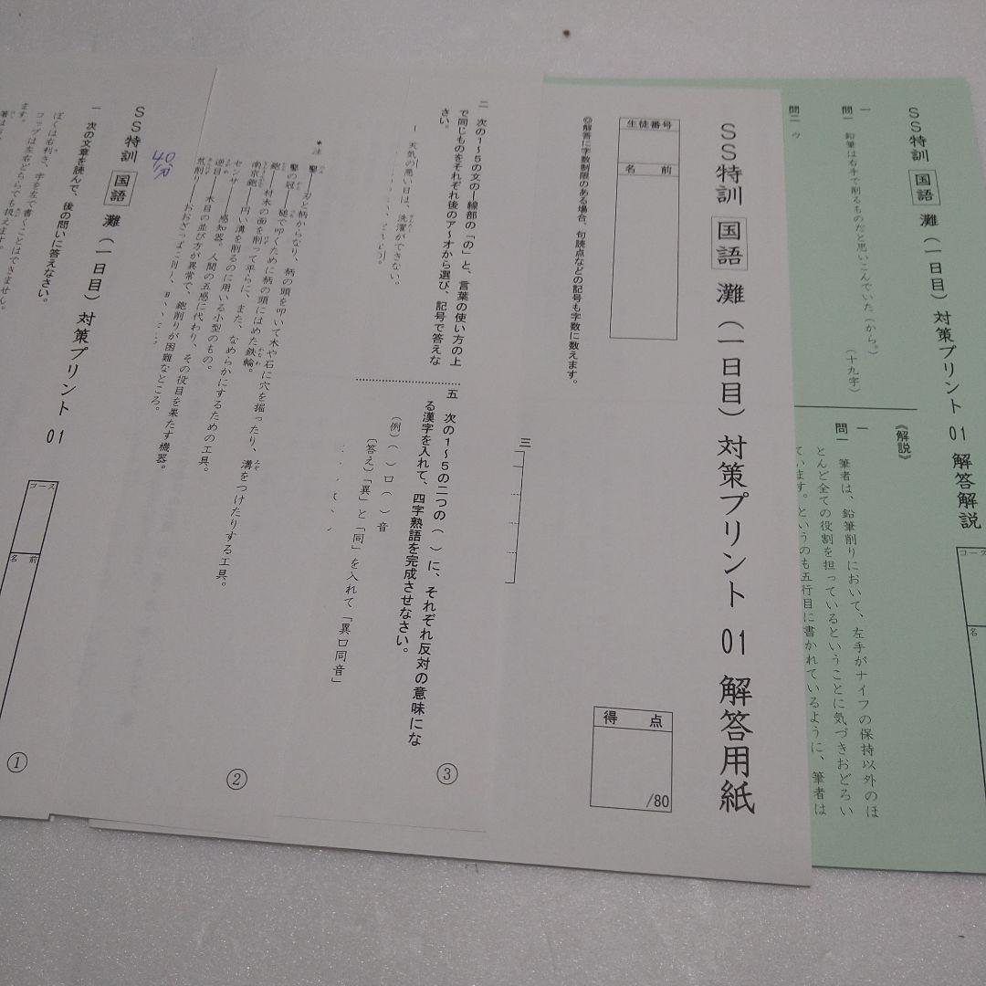 未使用　サピックス6年　灘対策　国語　1日目　2日目　01~10　合計20セット