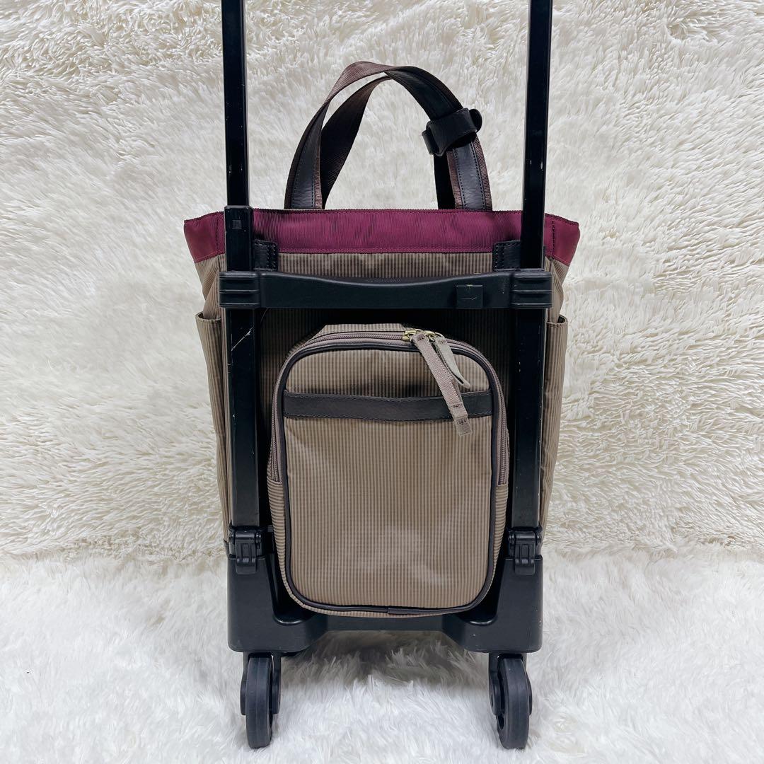 SWANY スワニー キャリーバッグ カート ルバンドミニ グレージュ