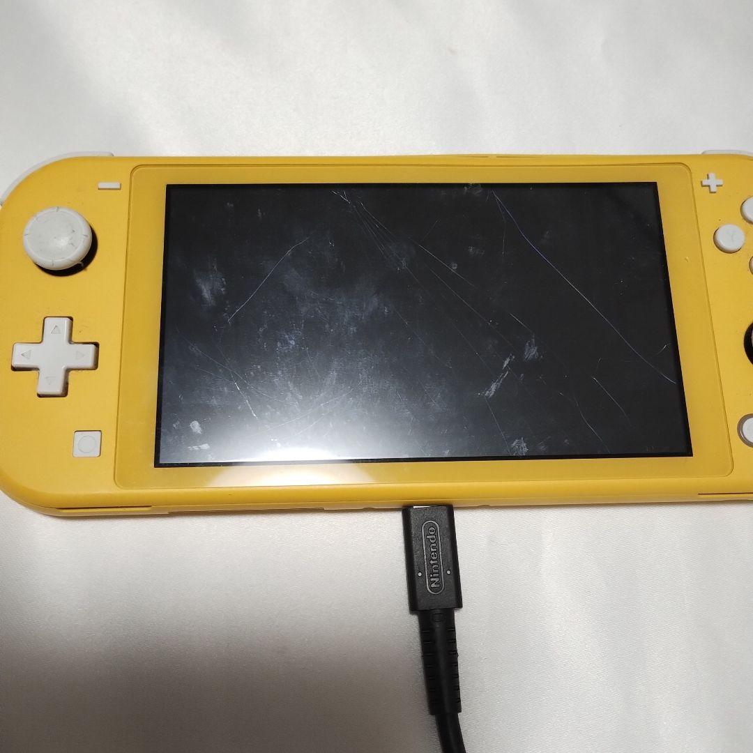 スイッチライト ジャンク品