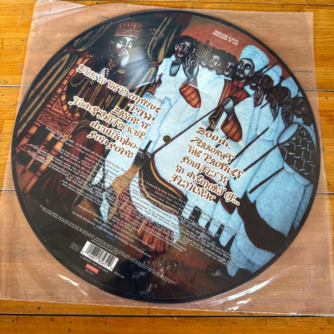 SOULFLY レコード　12インチ　ピクチャ盤