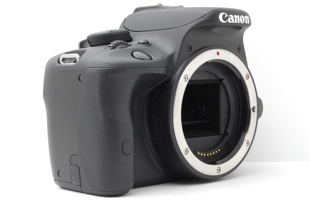 【ショット数４９１枚】Canon Kiss X7　スマホ転送　最軽量一眼レフ