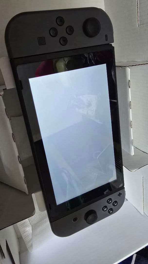 Nintendo Switch グレー 本体＋ケース