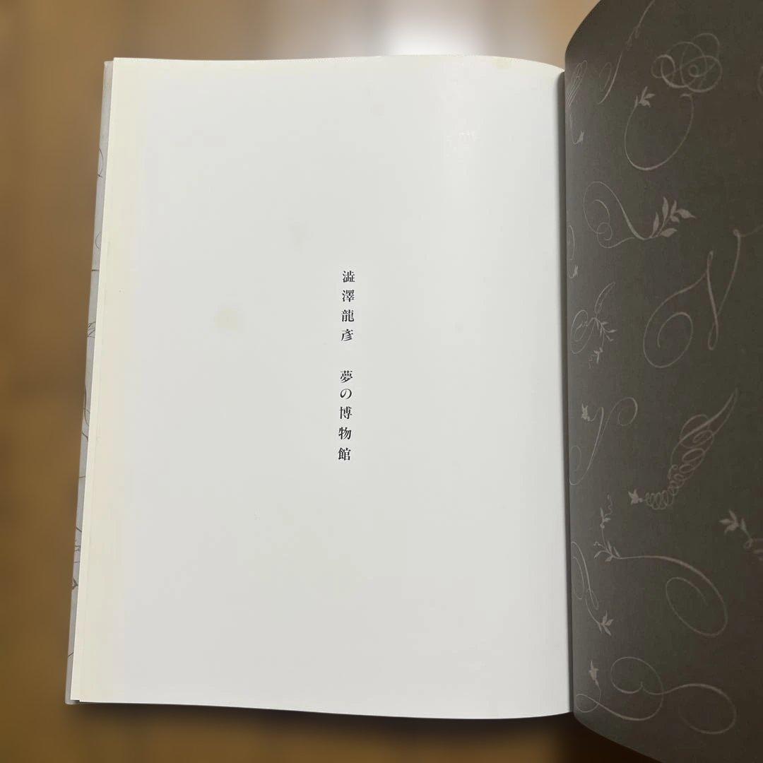 瀧澤龍彦 夢の博物館 The Museum of Draconia 図録 美術書
