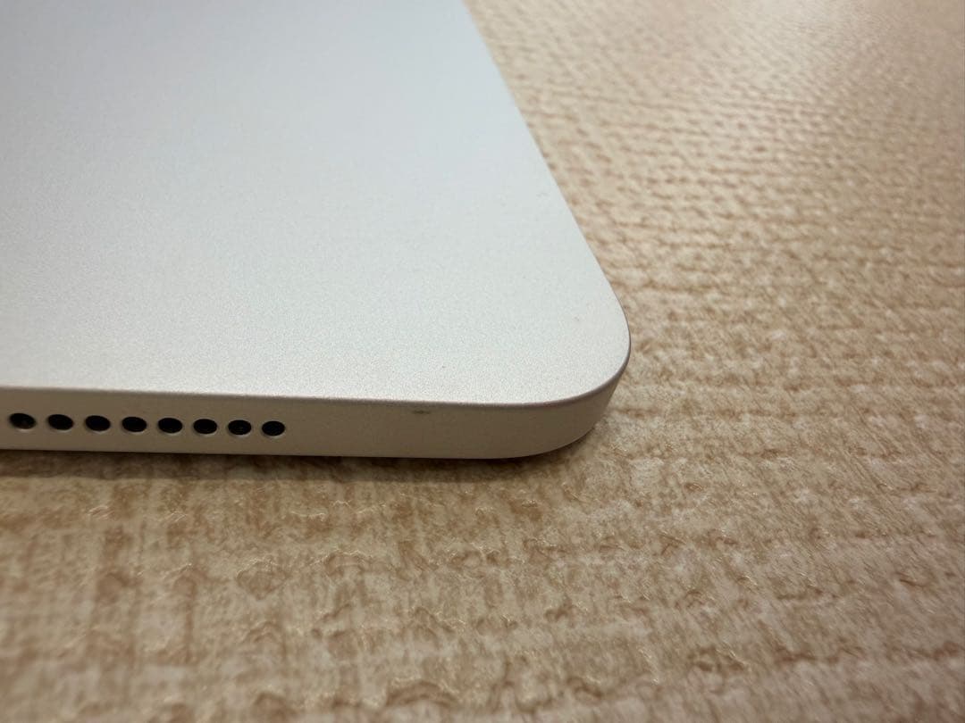 【昴】iPad Pro 11インチ