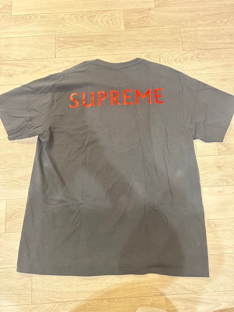 SUPREME シュプリーム　25SS Damien Hirst XL