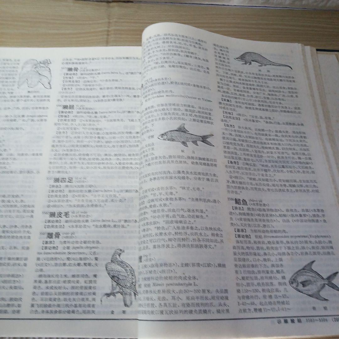 中薬大辞典　上下冊セット