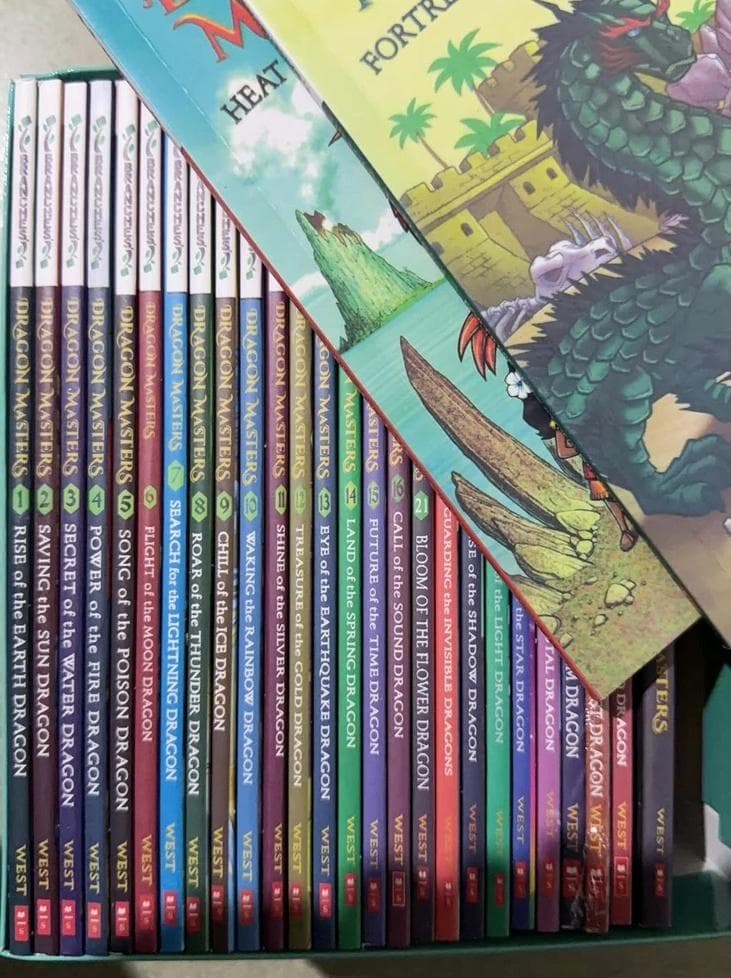 新品 Dragon Masters 英語絵本 洋書 30冊セット 音声あり