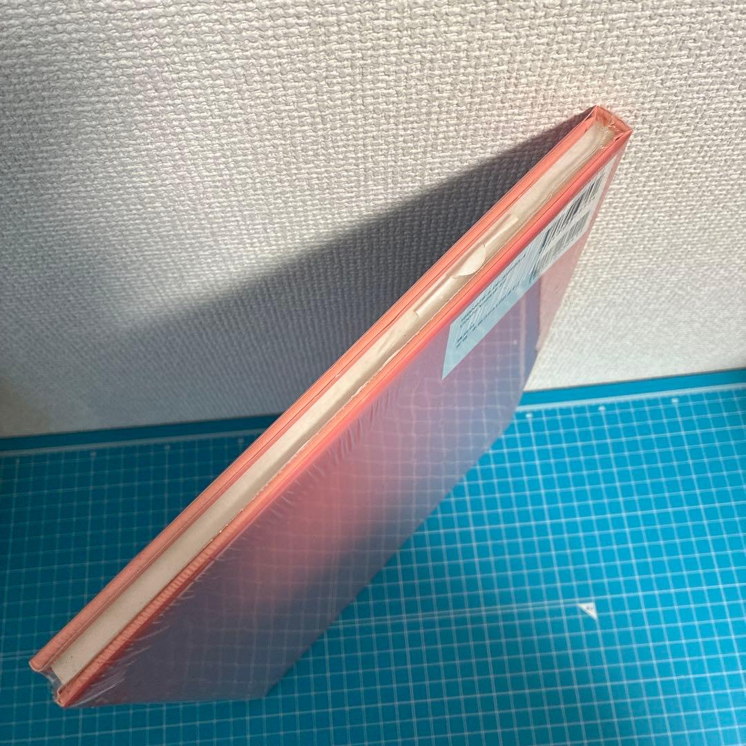 Rashin 片山萌美 写真集　シュリンク未開封品