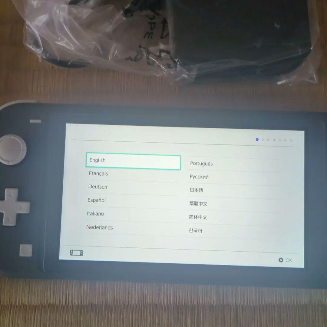Switchライト本体グレーとボンバーのソフト