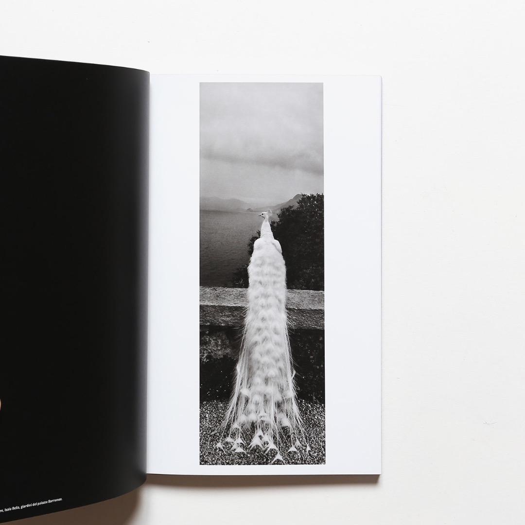 Joseph Koudelka Piemonte クーデルカ／ピエモンテ 写真集
