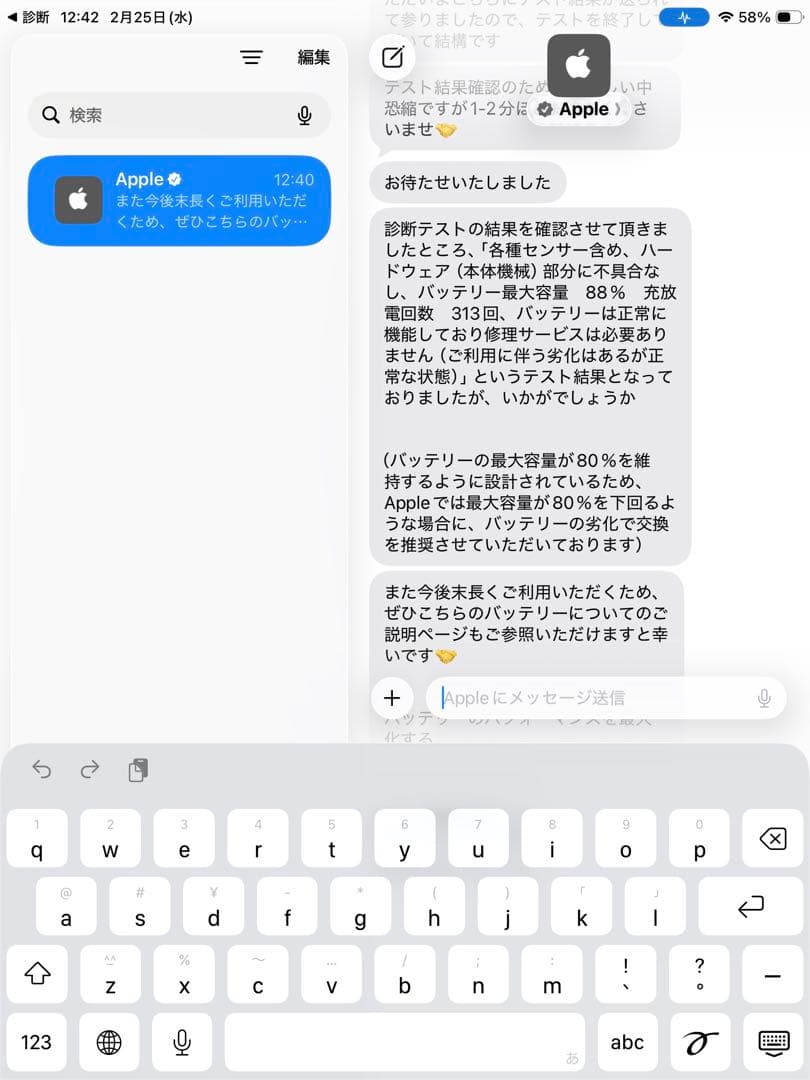 【美品】 iPad mini (第5世代) 64GB バッテリー最大容量88%