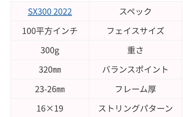 ダンロップ　SX300 グリップ3