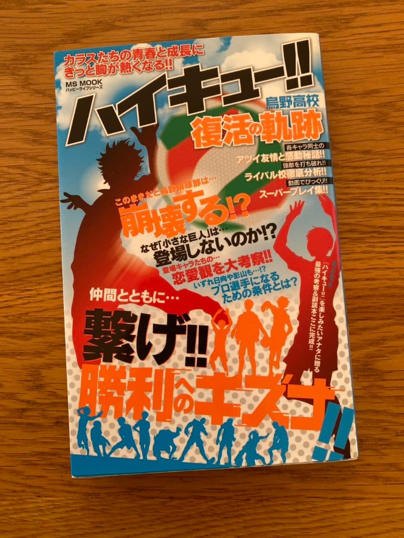 ハイキュー全巻セット(1巻～45巻＋33.5巻)＋おまけ3冊の49冊セット