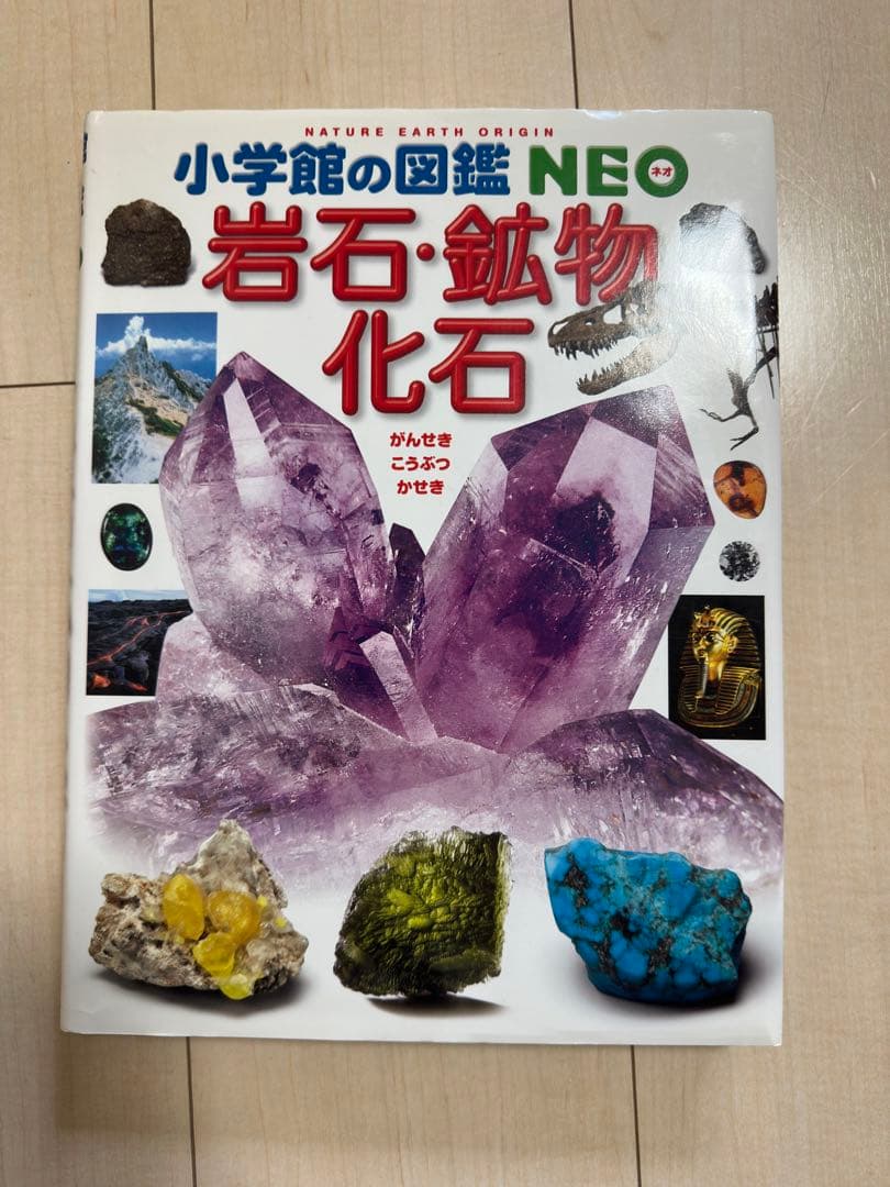 【図鑑】小学校の図鑑 NEO 【全9巻】