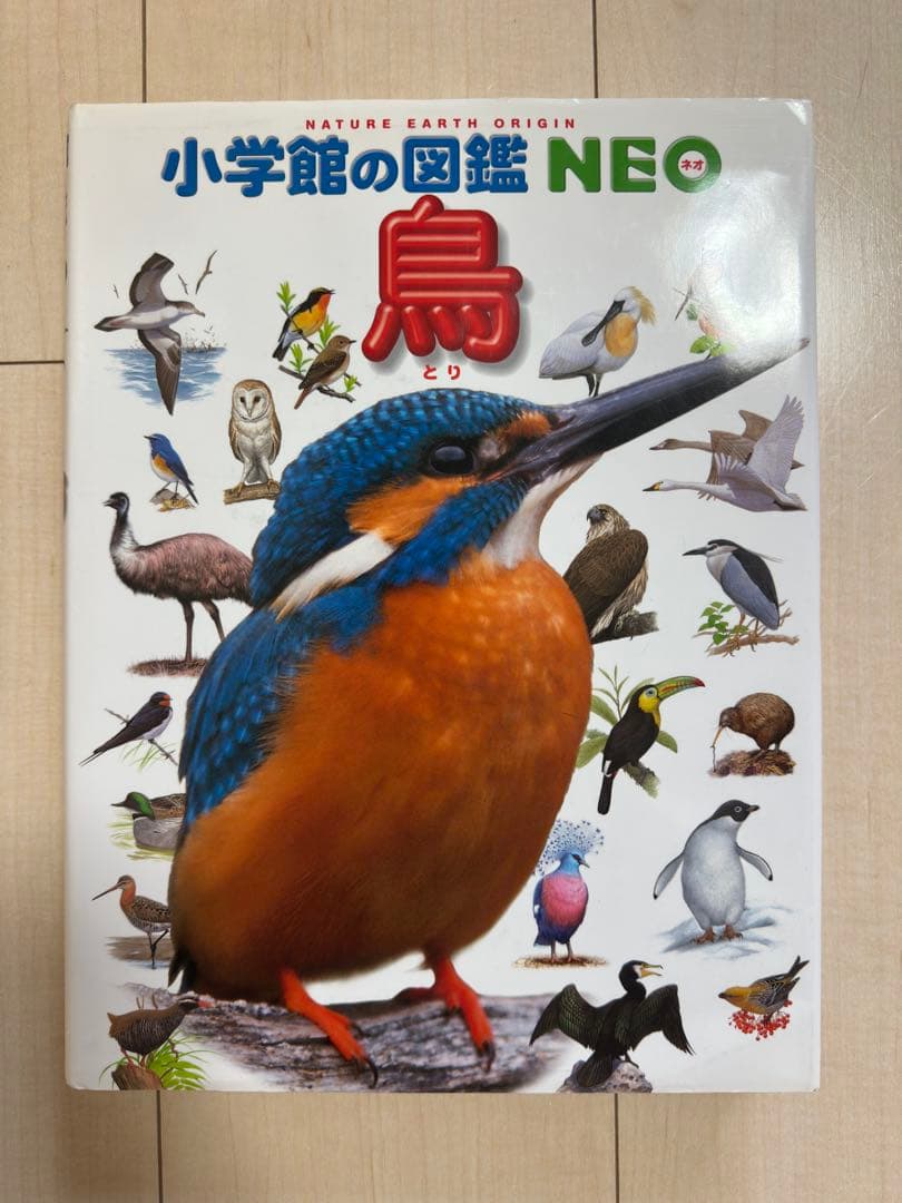 【図鑑】小学校の図鑑 NEO 【全9巻】