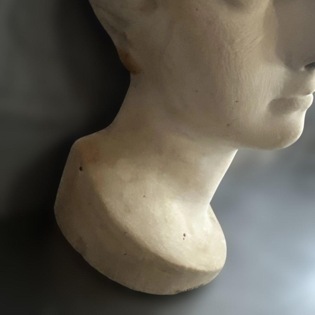 女性の頭部像 石膏製 約30cm