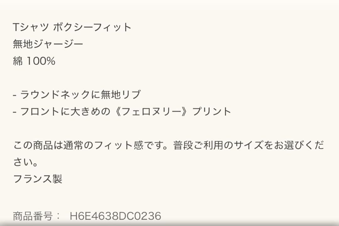 エルメス　2026春夏新作　Tシャツ　ボクシーフィット　カルトゥッシュ　40